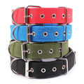 Collier pour chien nylon solide multicolore