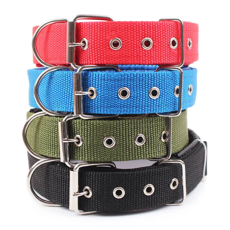 Collier pour chien nylon solide multicolore