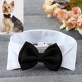 Collier nœud papillon ajustable pour chien