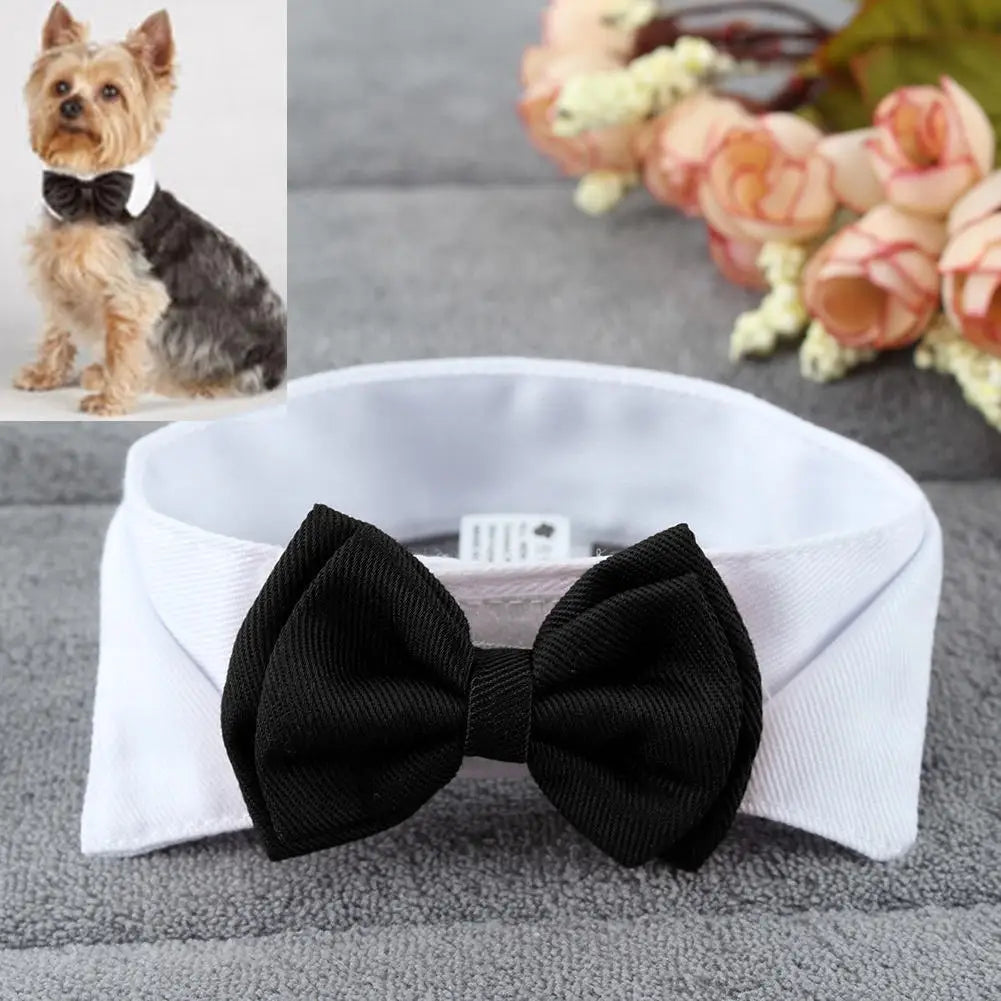 Collier nœud papillon ajustable pour chien