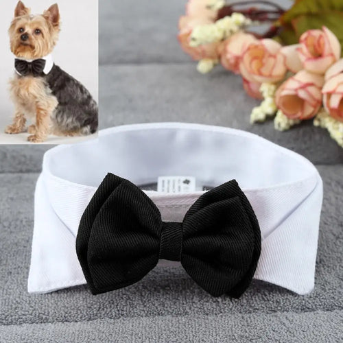 Collier nœud papillon ajustable pour chien