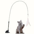 Canne à pêche interactive avec plumes pour chat
