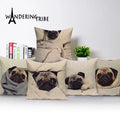 Housse de coussin Carlin