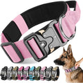 Collier pour chien ajustable robuste